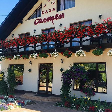 Casa Carmen 호텔 도르나 아리니 외부 사진